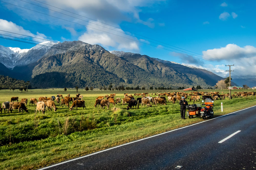 New Zealand